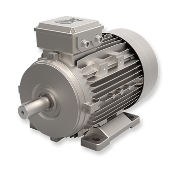 GOST Standard Electric Motors for Russian market