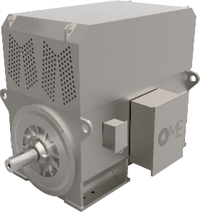 Medium and High Voltage Electric Motors