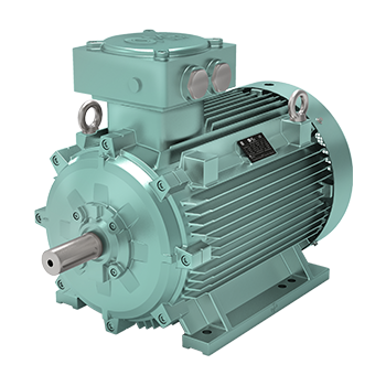 OMEX Explosion-Proof Low Voltage Motor