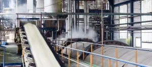 Electric motors for sugar plant processing