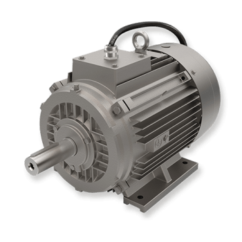 OMS Smoke Extraction Motor by OME Motors