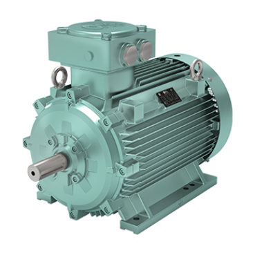 ATEX IECEx Explosion-Proof Electric Motors